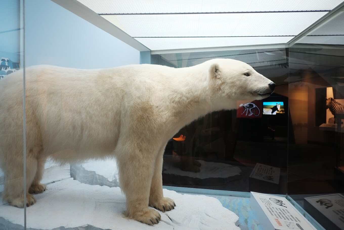 2025台中景點懶人包｜超值打卡秘境你絕不能錯過