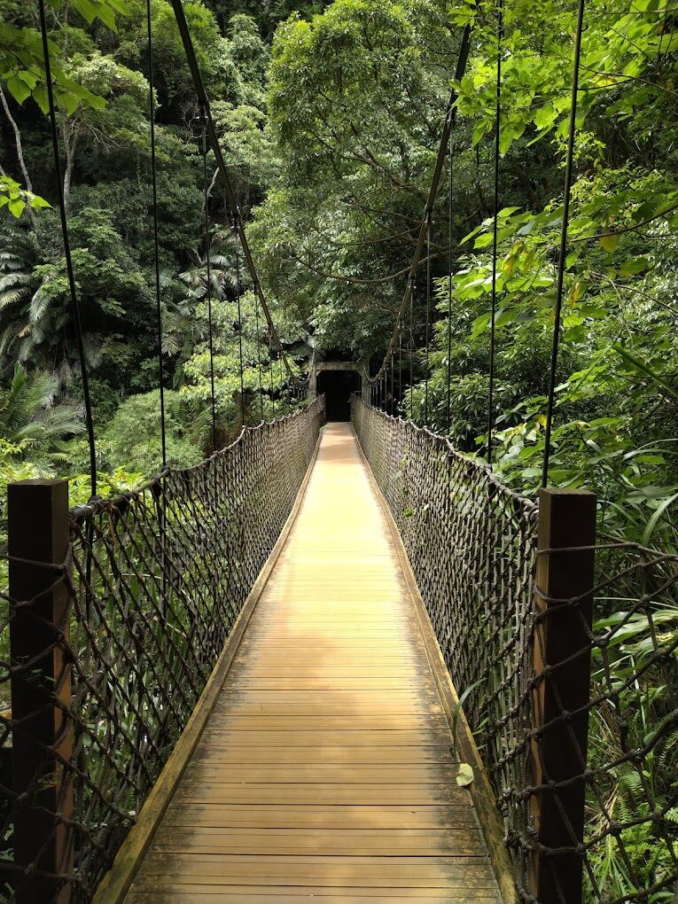 【2025】桃園必去景點大公開｜絕對不能錯過的旅遊熱點