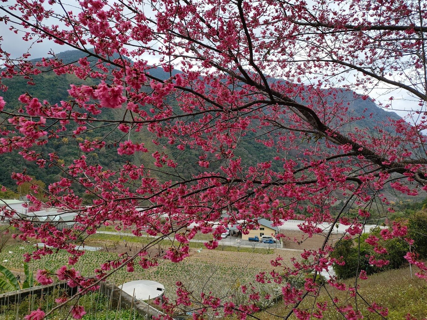 東埔溫泉：挑選最適合的泡湯秘境