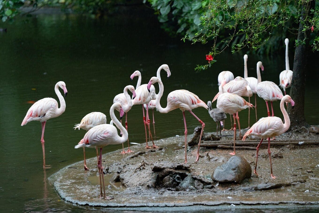 你絕對不能錯過的台北景點｜2025最新攻略