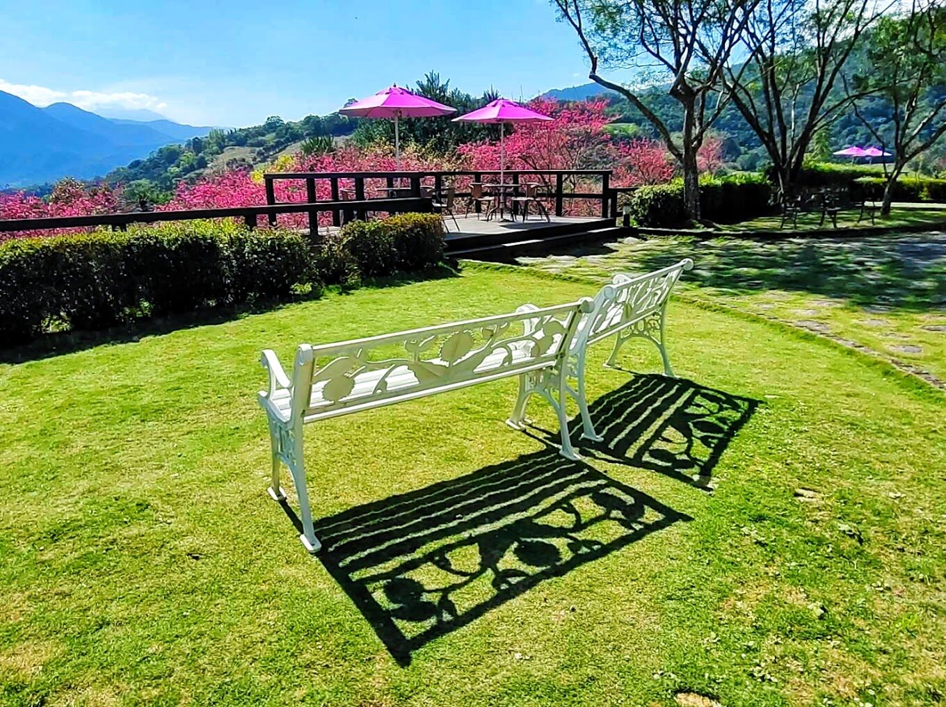 【2025】避開太平山旅遊陷阱，享受完美假期！