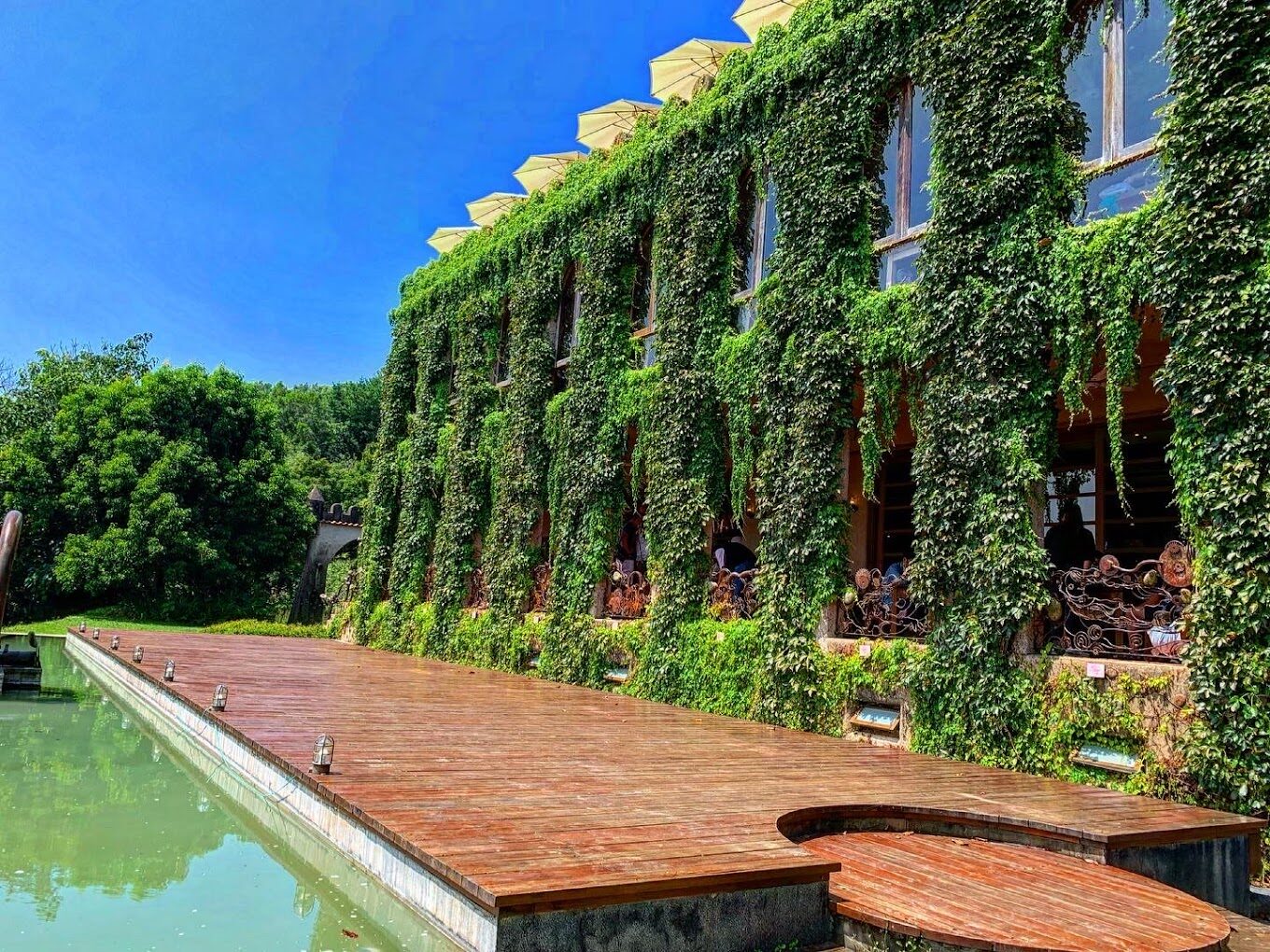 莫內秘密花園及附近:探索隱藏的花卉天堂