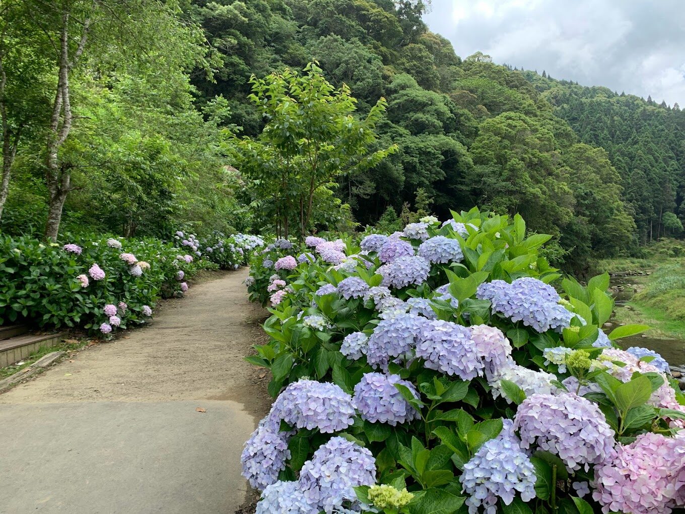 杉林溪旅遊必看！景點讓你流連忘返