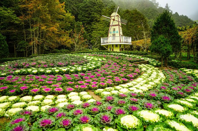 杉林溪旅遊必看！景點讓你流連忘返