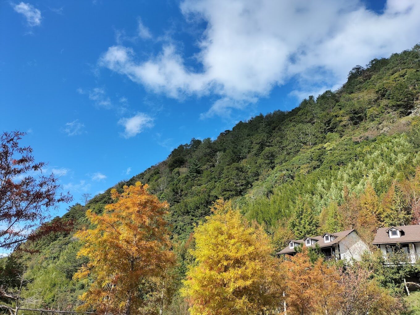 探訪司馬庫斯:台灣最隱秘的部落,不該錯過的自然秘境之旅