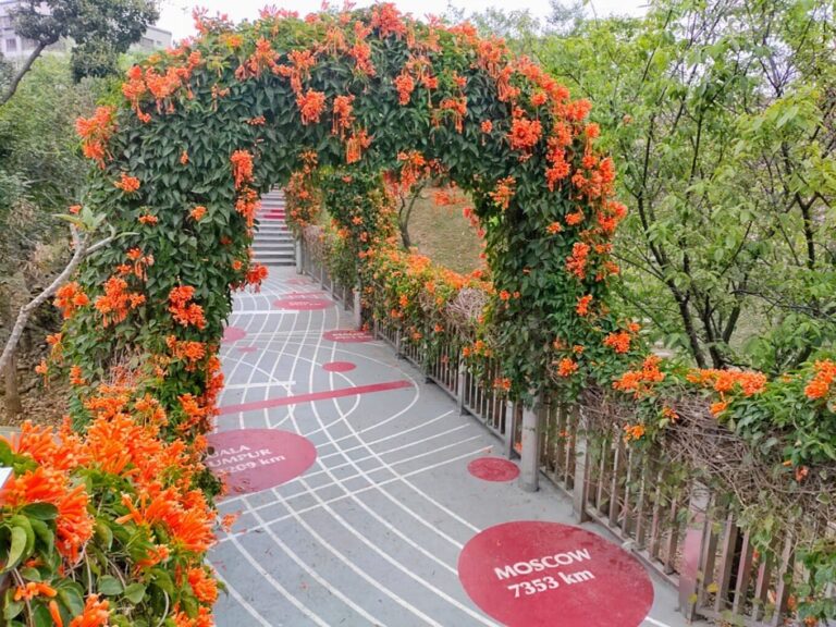 鶯歌永吉公園必去景點｜不容錯過的打卡熱點