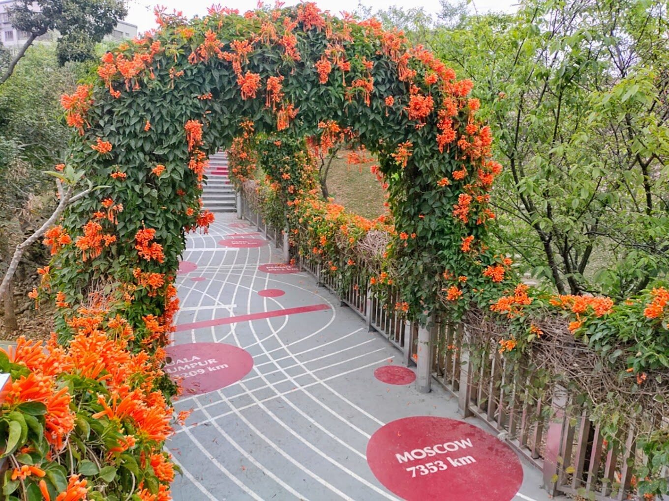 鶯歌永吉公園必去景點｜不容錯過的打卡熱點