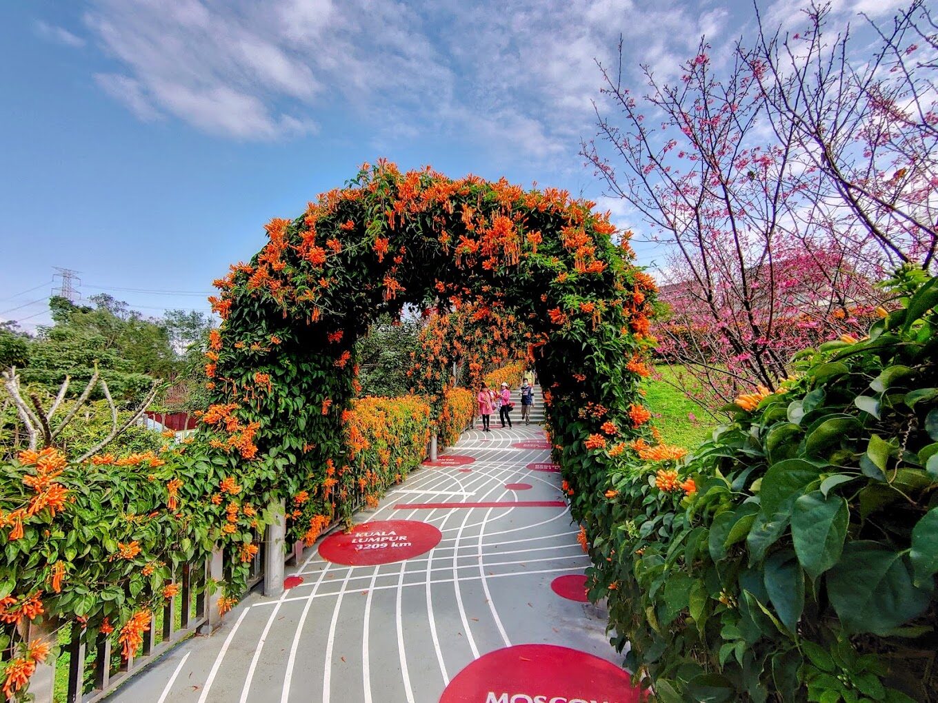 鶯歌永吉公園必去景點｜不容錯過的打卡熱點