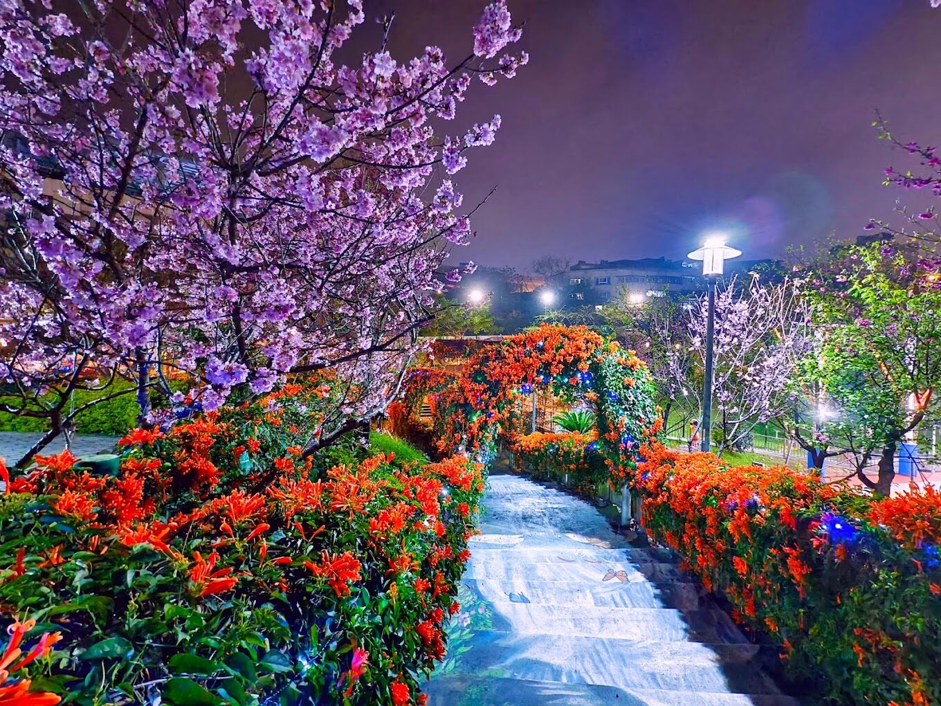 鶯歌永吉公園必去景點｜不容錯過的打卡熱點