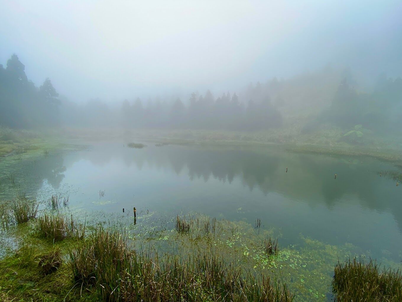 陽明山旅遊攻略｜2025年必知的不可錯過的景點