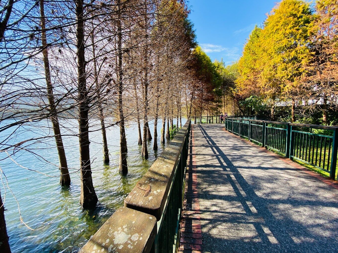 南投日月潭旅遊攻略｜不得不做的必體驗之事