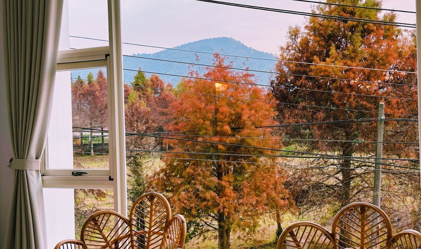 奧萬大住宿推薦：超值民宿讓你的旅行不後悔！