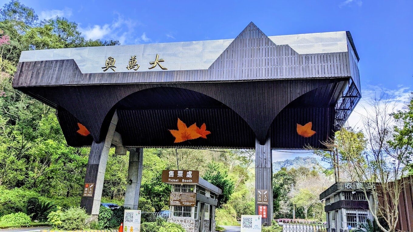 2025奧萬大旅遊指南：避開這常見錯誤，盡享絕美楓紅季