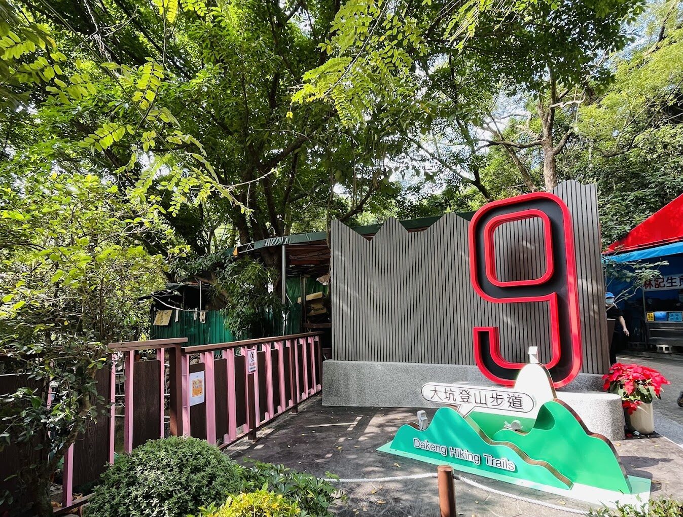 避開大眾錯誤｜探索大坑步道的必知秘境