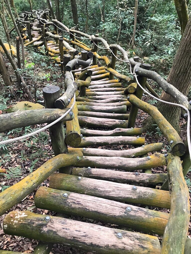 避開大眾錯誤｜探索大坑步道的必知秘境