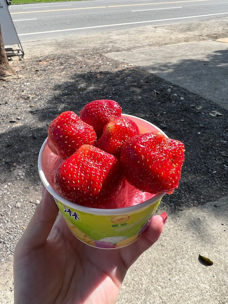 【2025】大湖草莓採摘指南｜絕不後悔的品種推薦