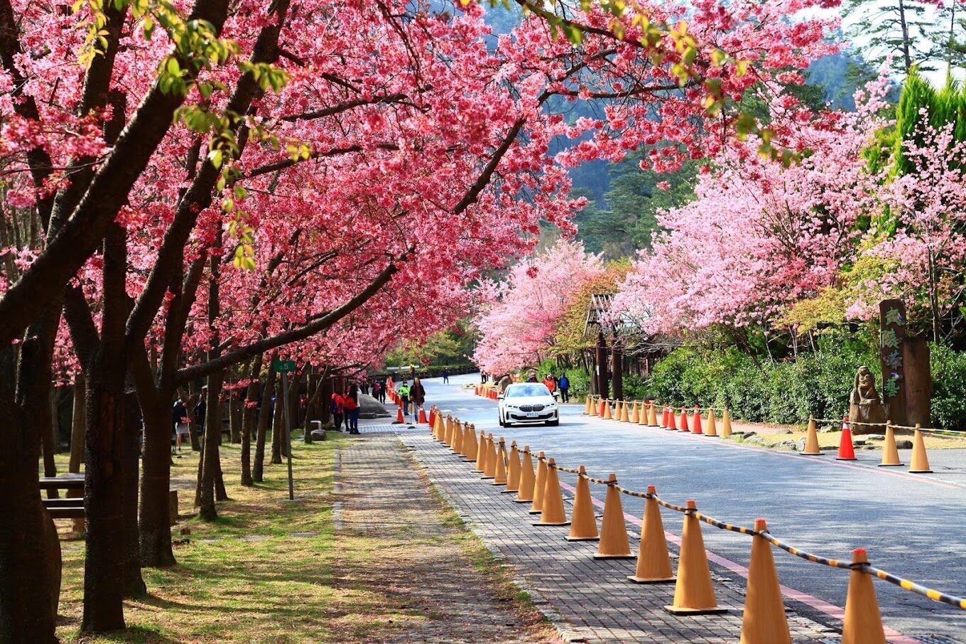 【2025】必遊武陵農場的理由｜避開人潮的秘境