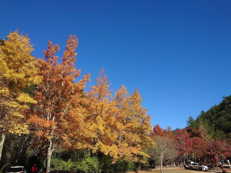 【2025】必遊武陵農場的理由｜避開人潮的秘境