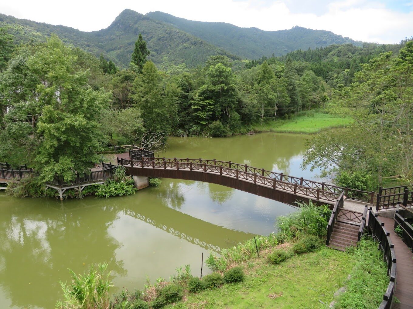 三灣落羽松旅遊攻略｜必去景點及不容錯過的拍照秘境