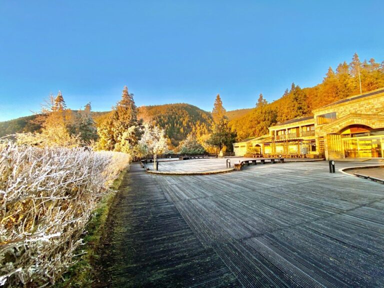 太平山莊必訪趕快收藏｜你絕不能錯過的絕美景點