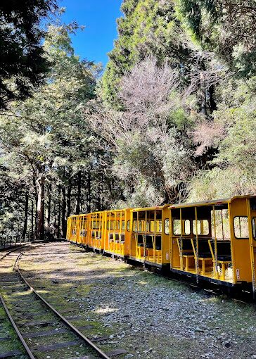 太平山莊必遊景點指南｜2025年不可錯過的自然美景與住宿體驗