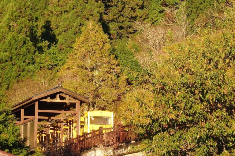 太平山莊必遊景點指南｜2025年不可錯過的自然美景與住宿體驗