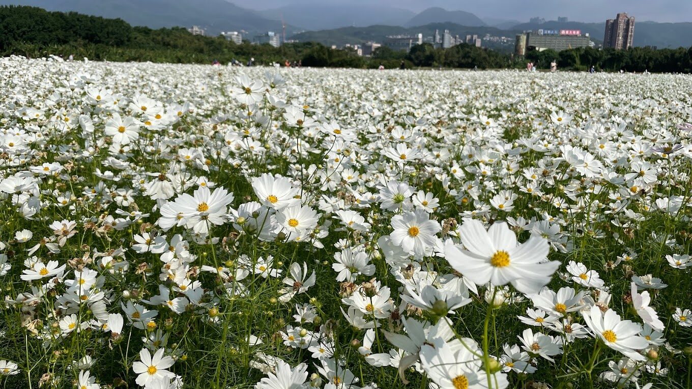 【2025】避開觀光雷區：北投景點深入探索指南