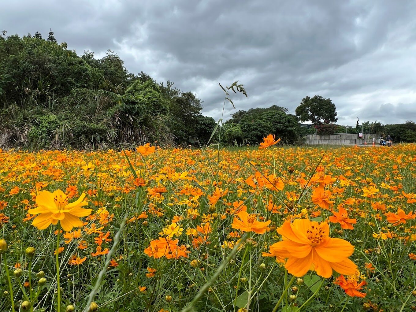 【2025】避開觀光雷區：北投景點深入探索指南