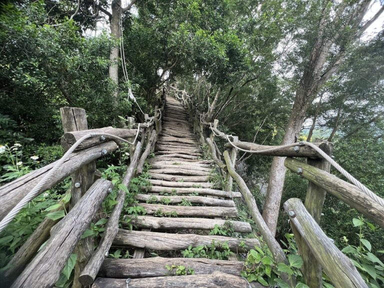 【2025】避免錯過大坑步道的必去景點｜新手也能輕鬆上手的自然秘境探索指南