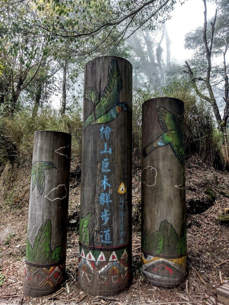 觀霧山莊必去的理由|探訪台灣秘境中的世外桃源