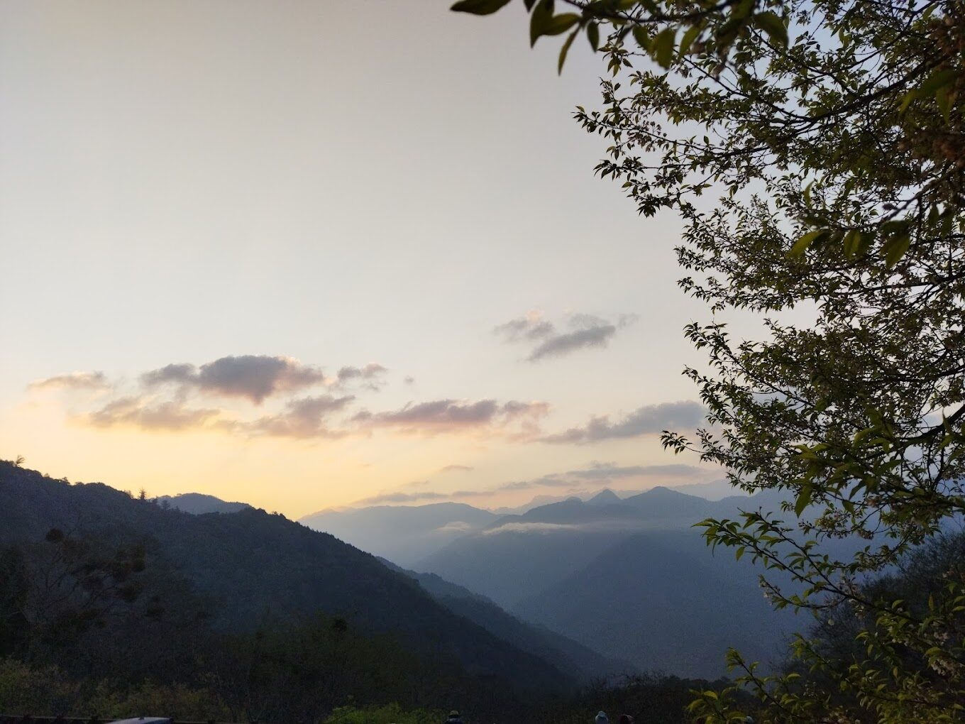 觀霧山莊必去的理由|探訪台灣秘境中的世外桃源