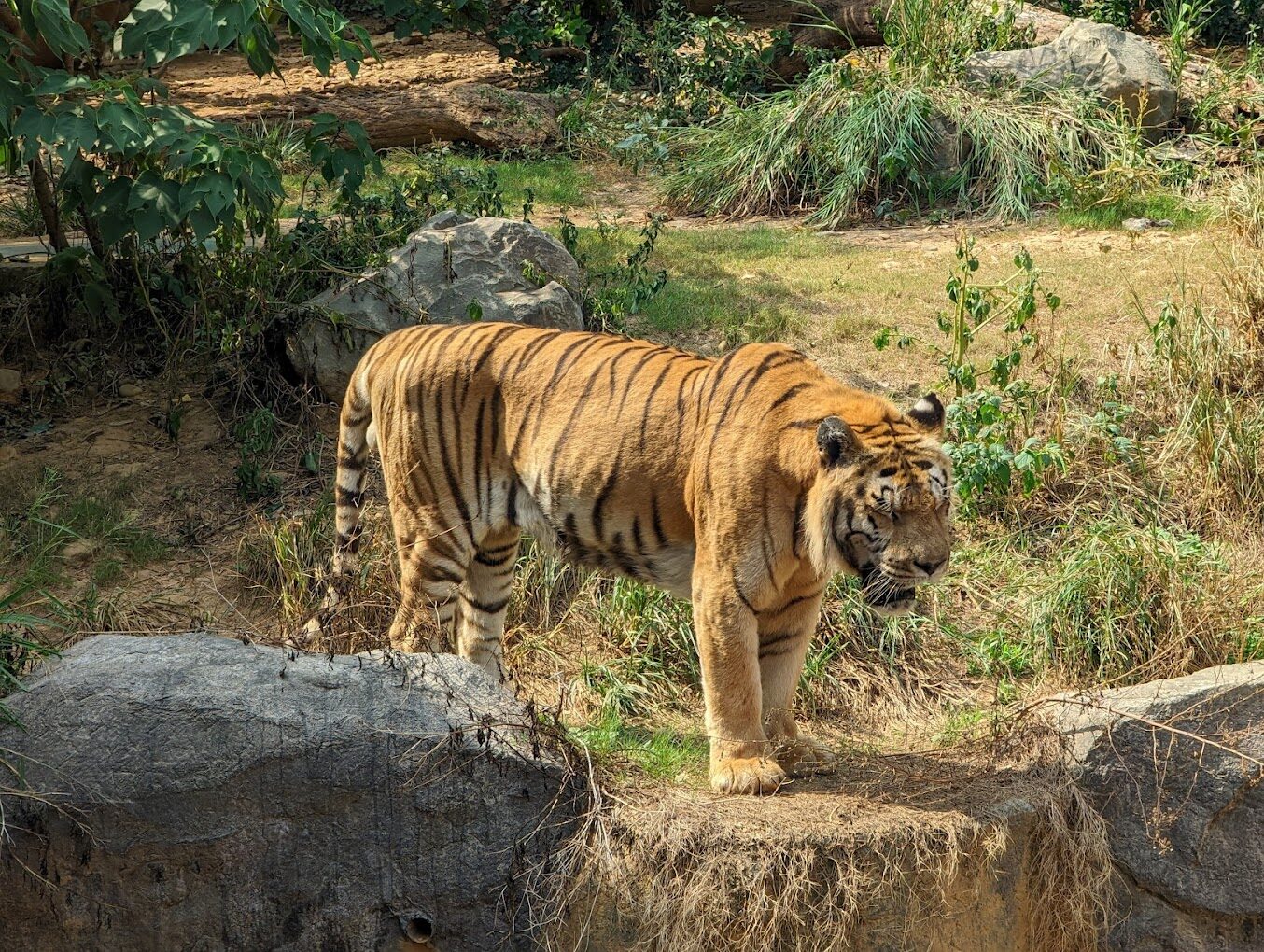 新竹必去景點大集合｜這秘境你絕對不能錯過