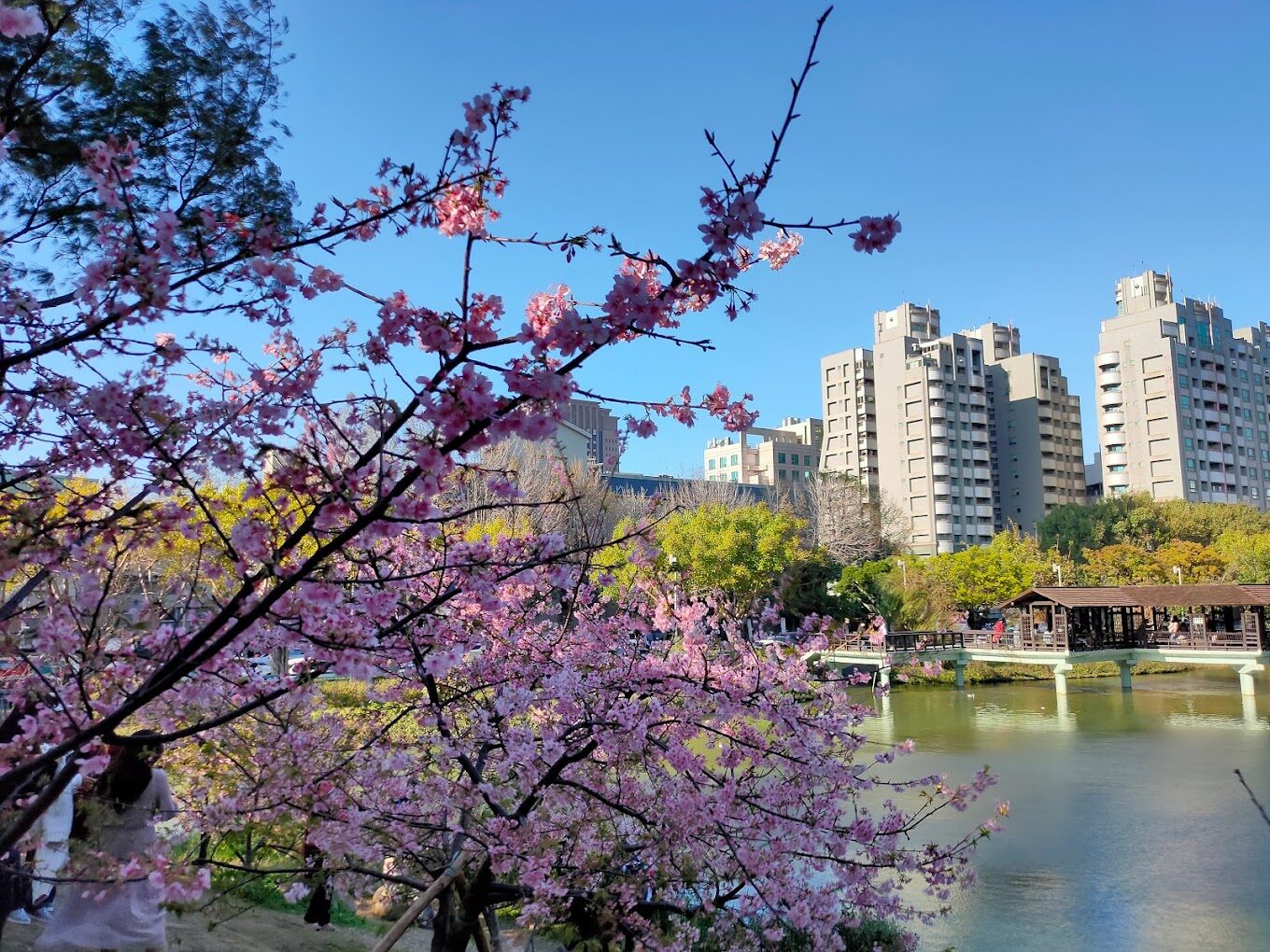 新竹必去景點大集合｜這秘境你絕對不能錯過