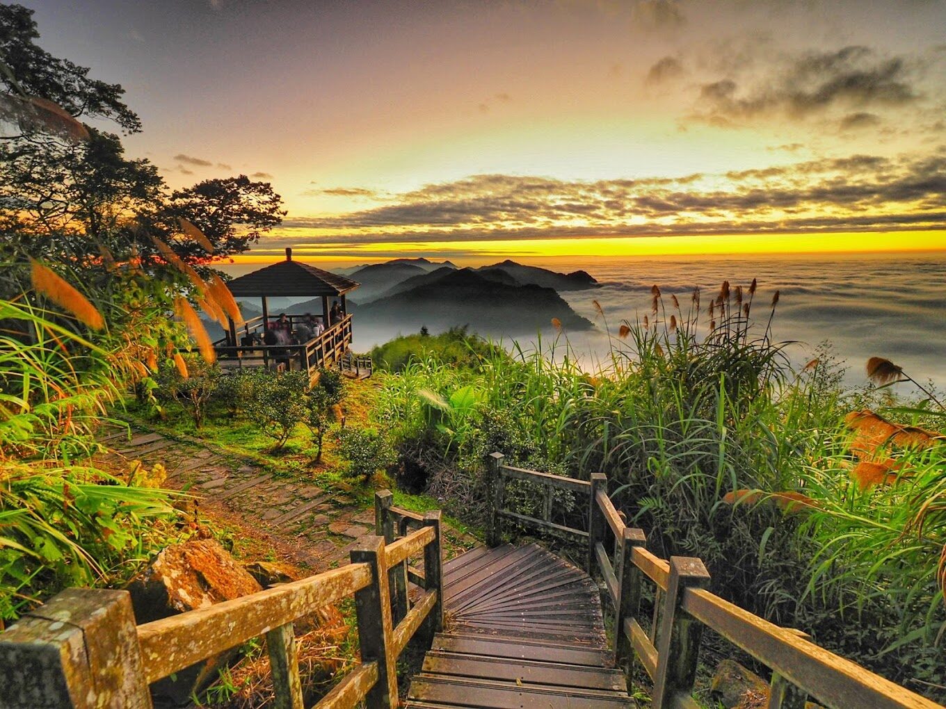 【2025】二延平步道必遊攻略|徒步旅行者不可錯過的美景秘境