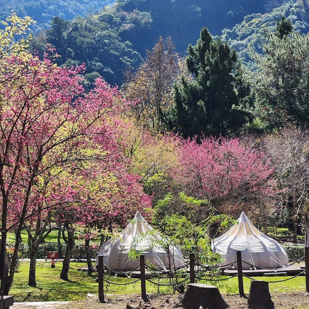 南投必去景點推薦｜2025年最新旅遊清單