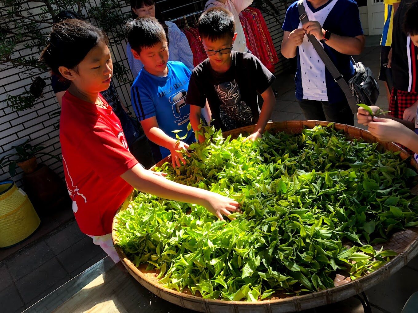 南投必去景點推薦｜2025年最新旅遊清單
