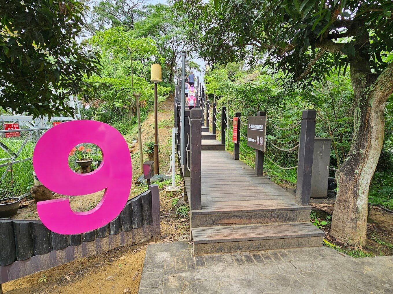 探索大坑步道：不可錯過的自然景點