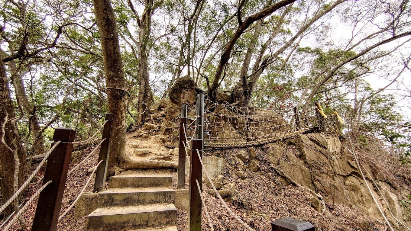 探索大坑步道：不可錯過的自然景點