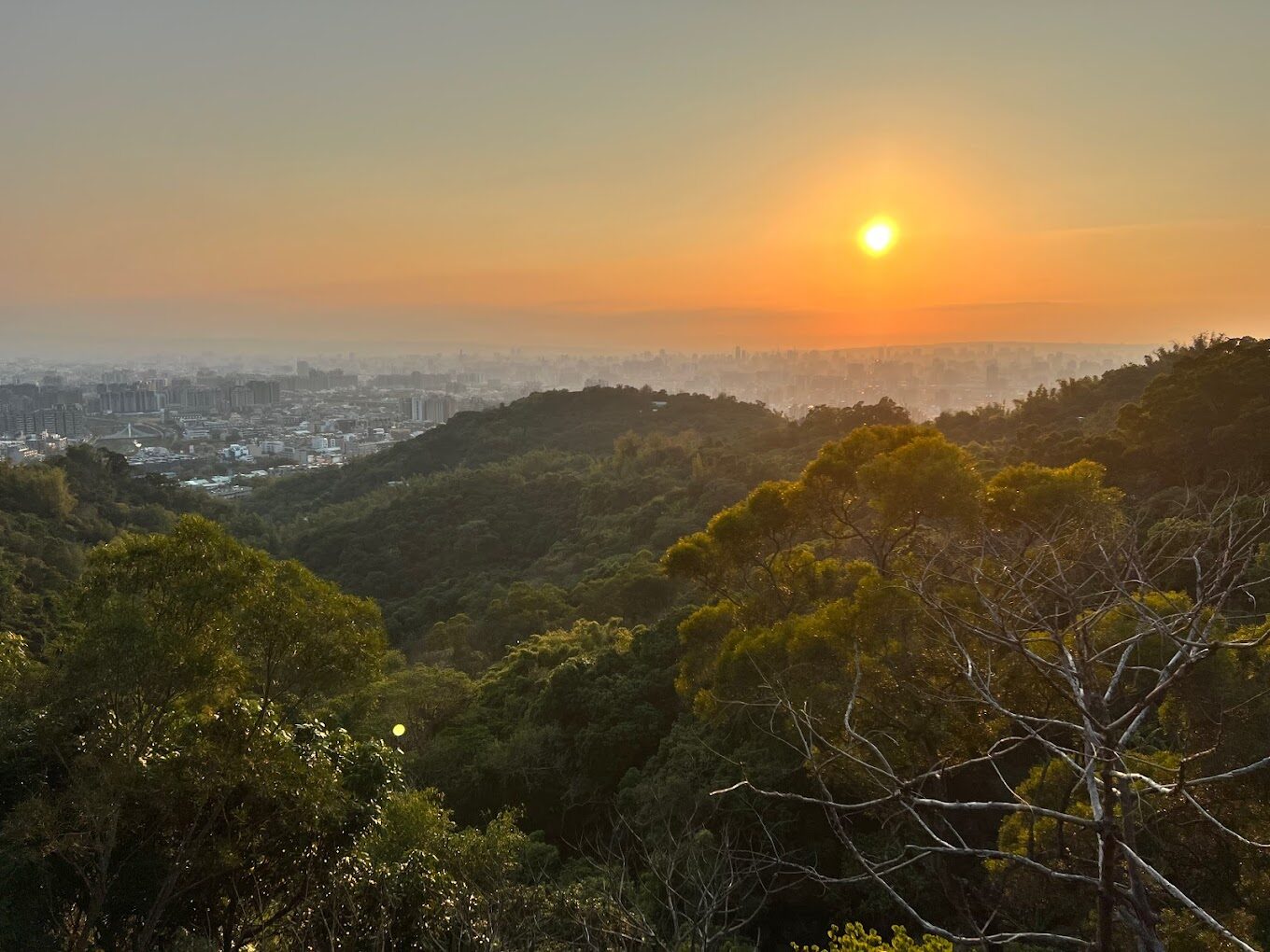 探索大坑步道：不可錯過的自然景點