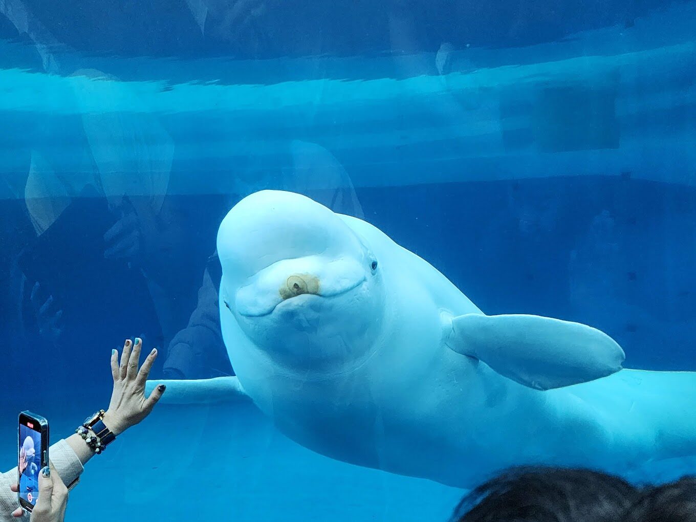 屏東海生館必看亮點｜不容錯過的海洋之旅