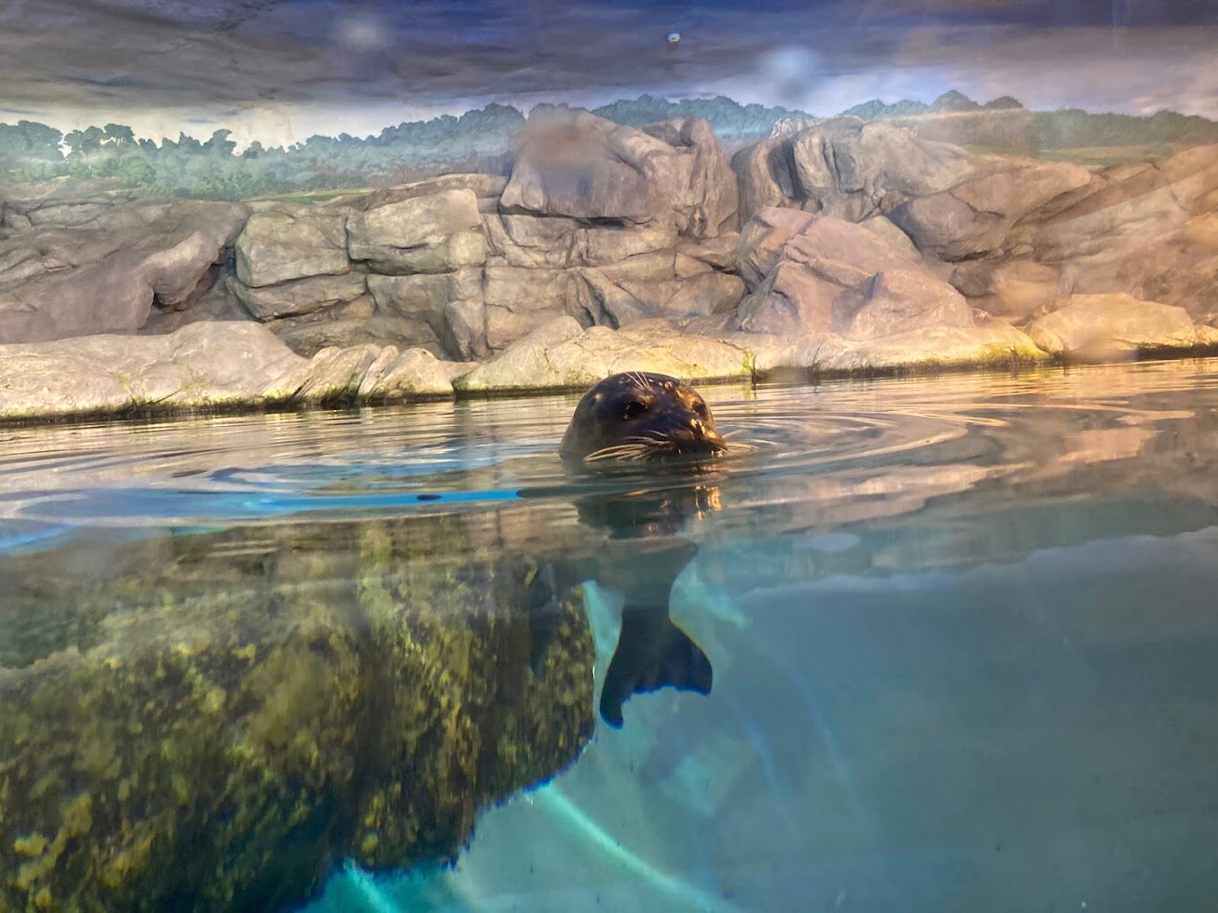 屏東海生館必看亮點｜不容錯過的海洋之旅