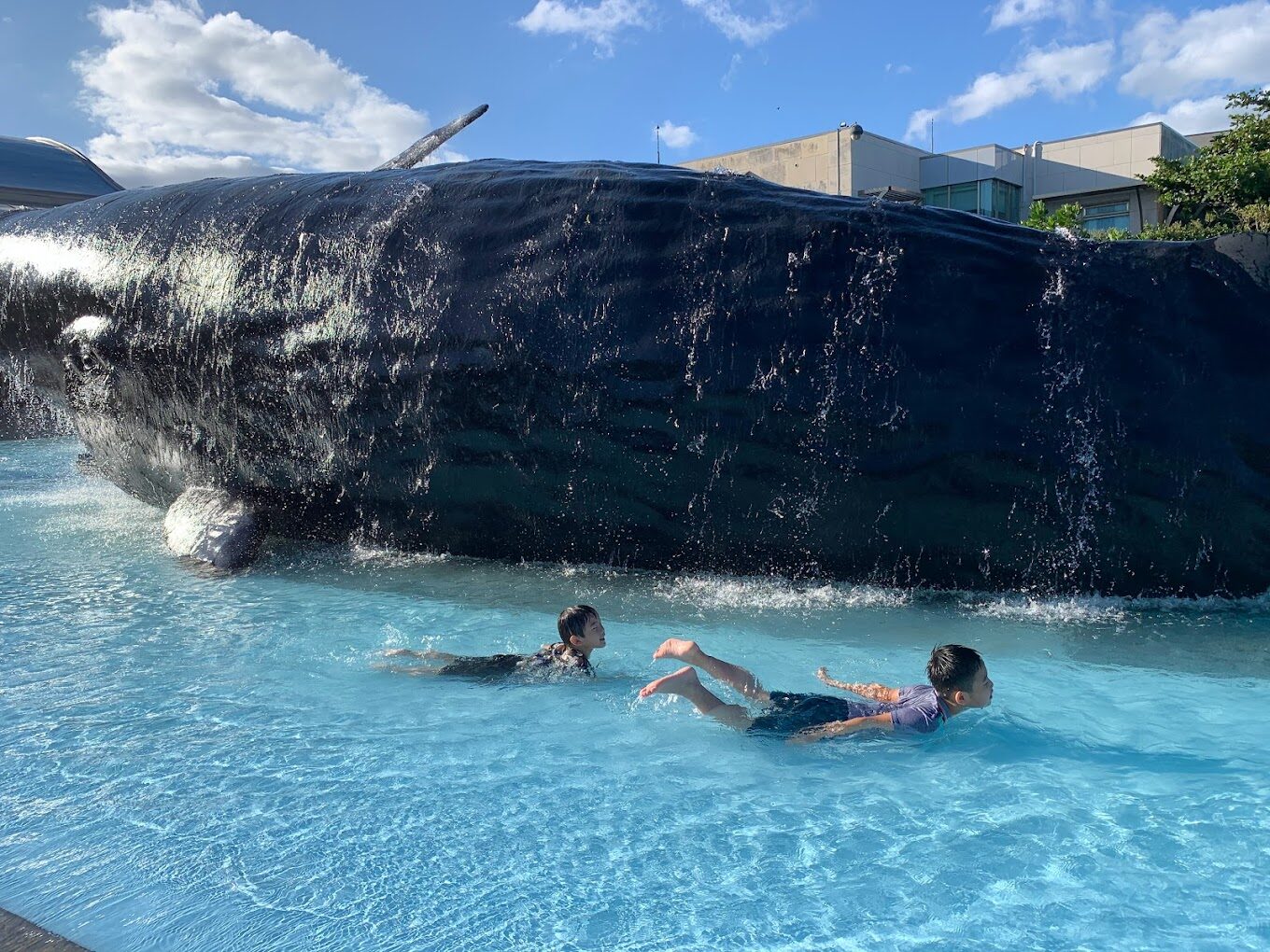 屏東海生館必看亮點｜不容錯過的海洋之旅