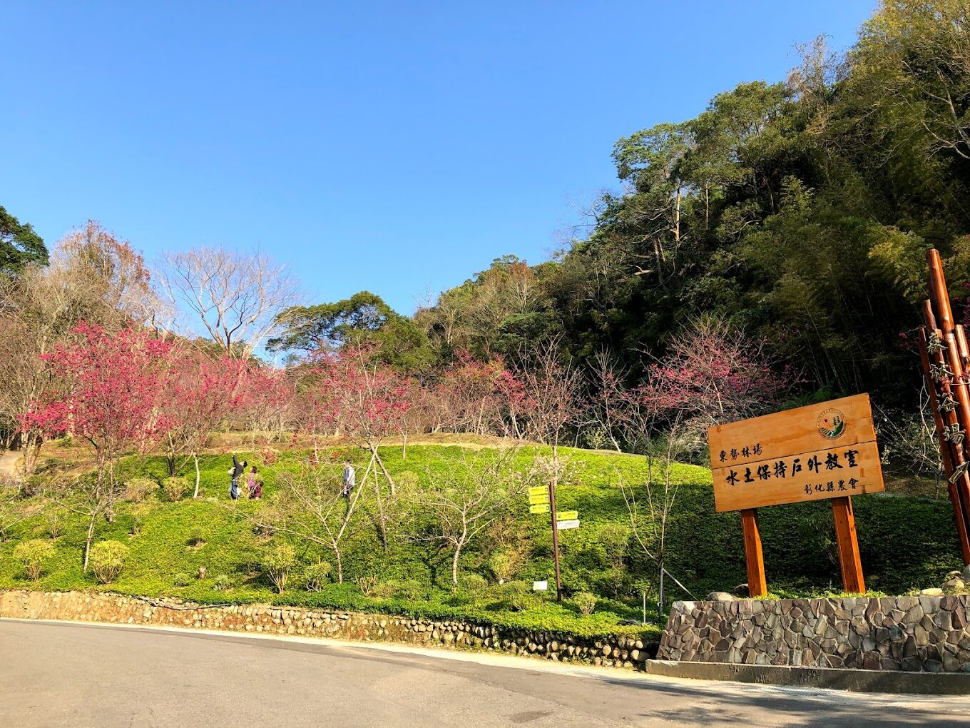 東勢林場必遊景點與美食推薦|探索台中隱藏的自然秘境