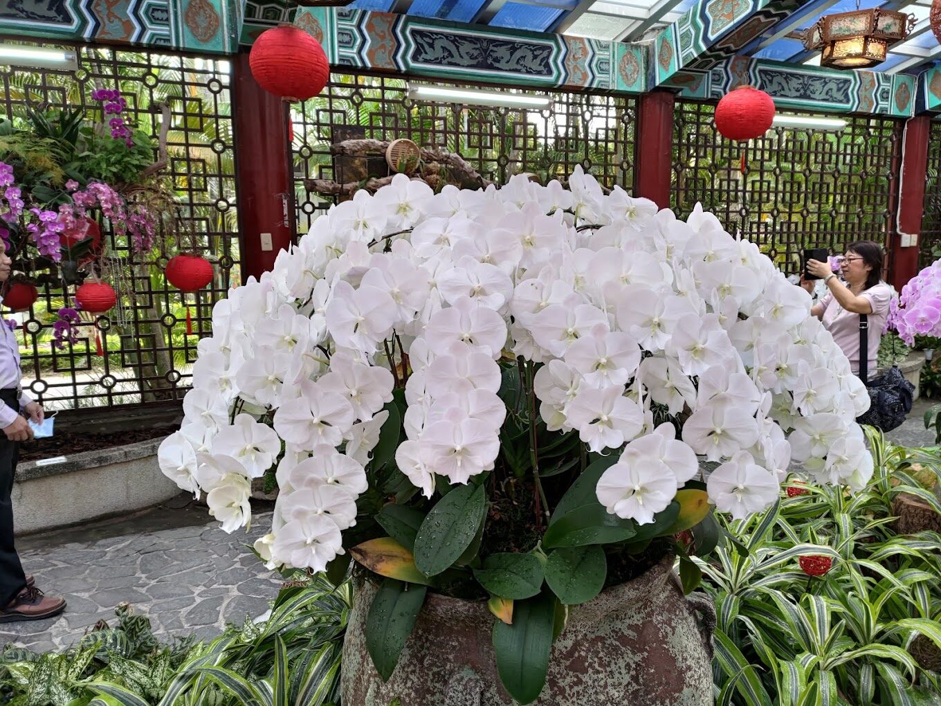 士林官邸必去景點大揭秘|2025不容錯過的特色