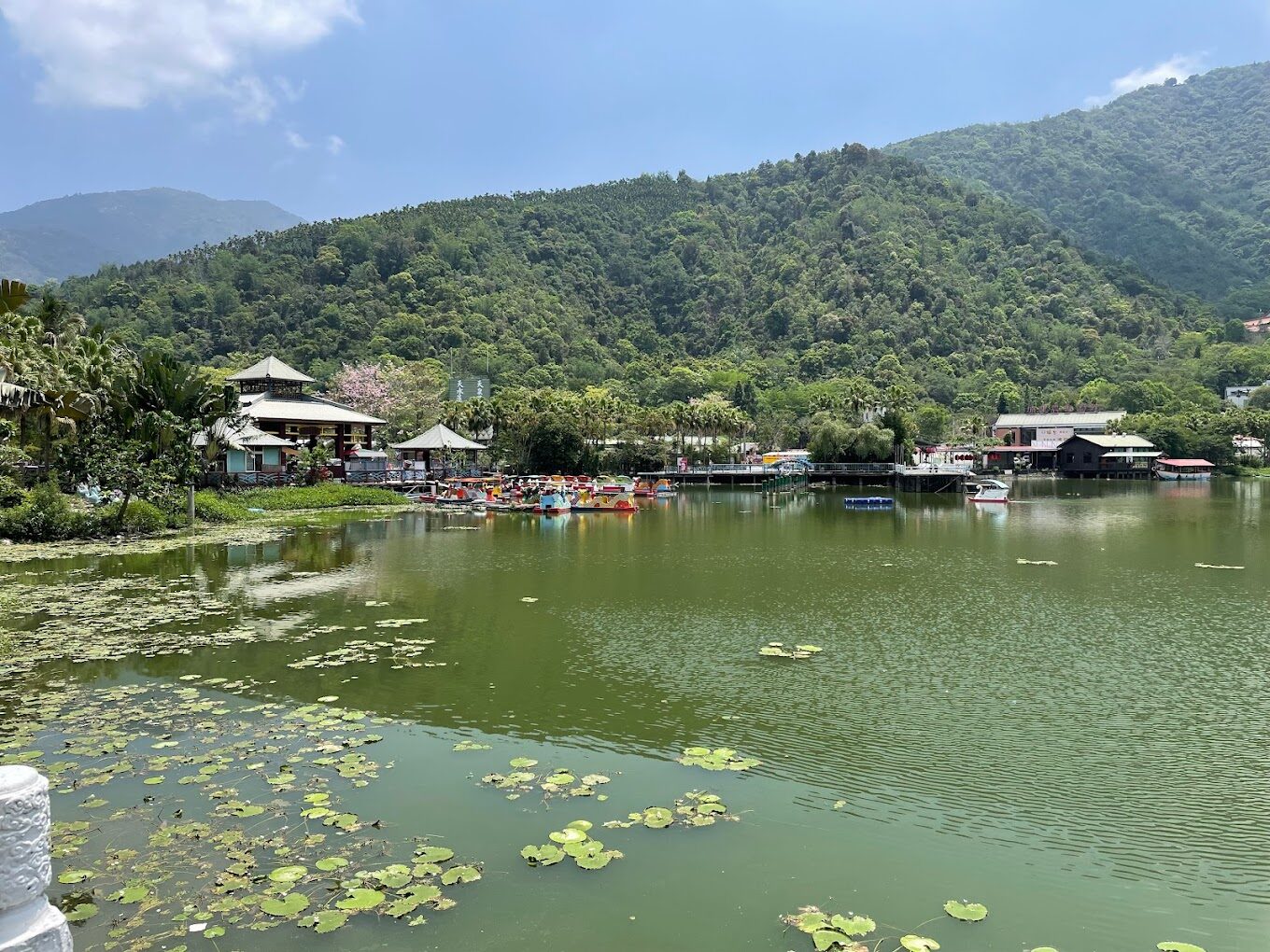 2025年埔里景點必看推薦：走訪這不容錯過的絕美景點