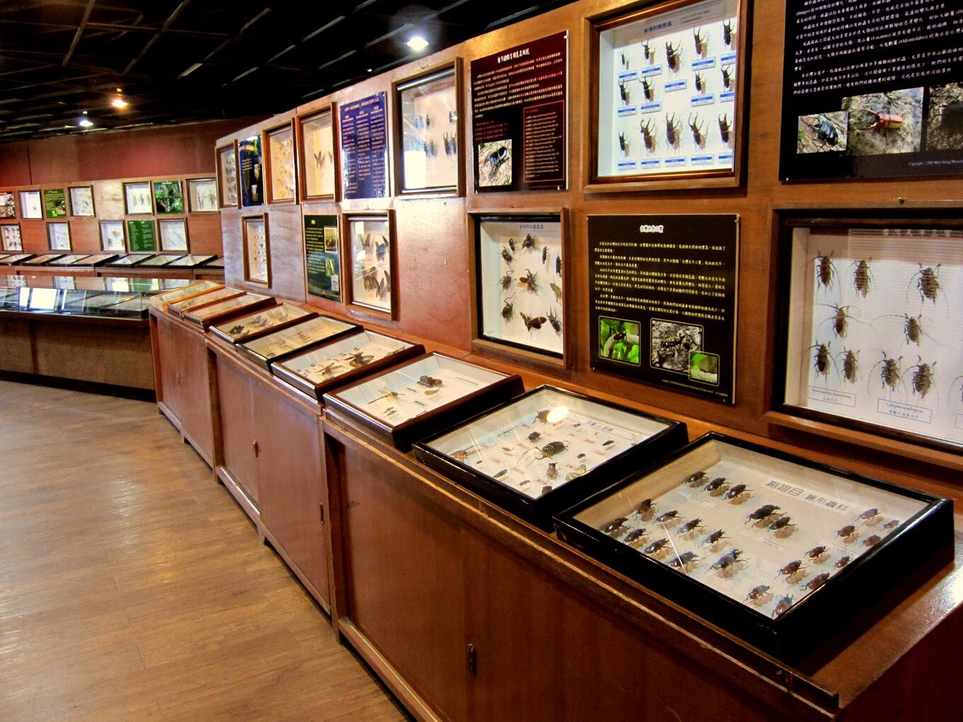 2025年埔里景點必看推薦：走訪這不容錯過的絕美景點