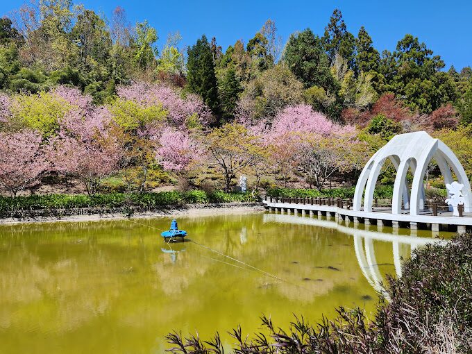 清境農場必去景點｜避開人潮，享受靜謐大自然