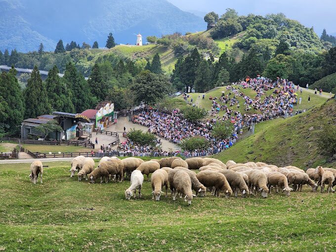 清境農場必去景點｜避開人潮，享受靜謐大自然