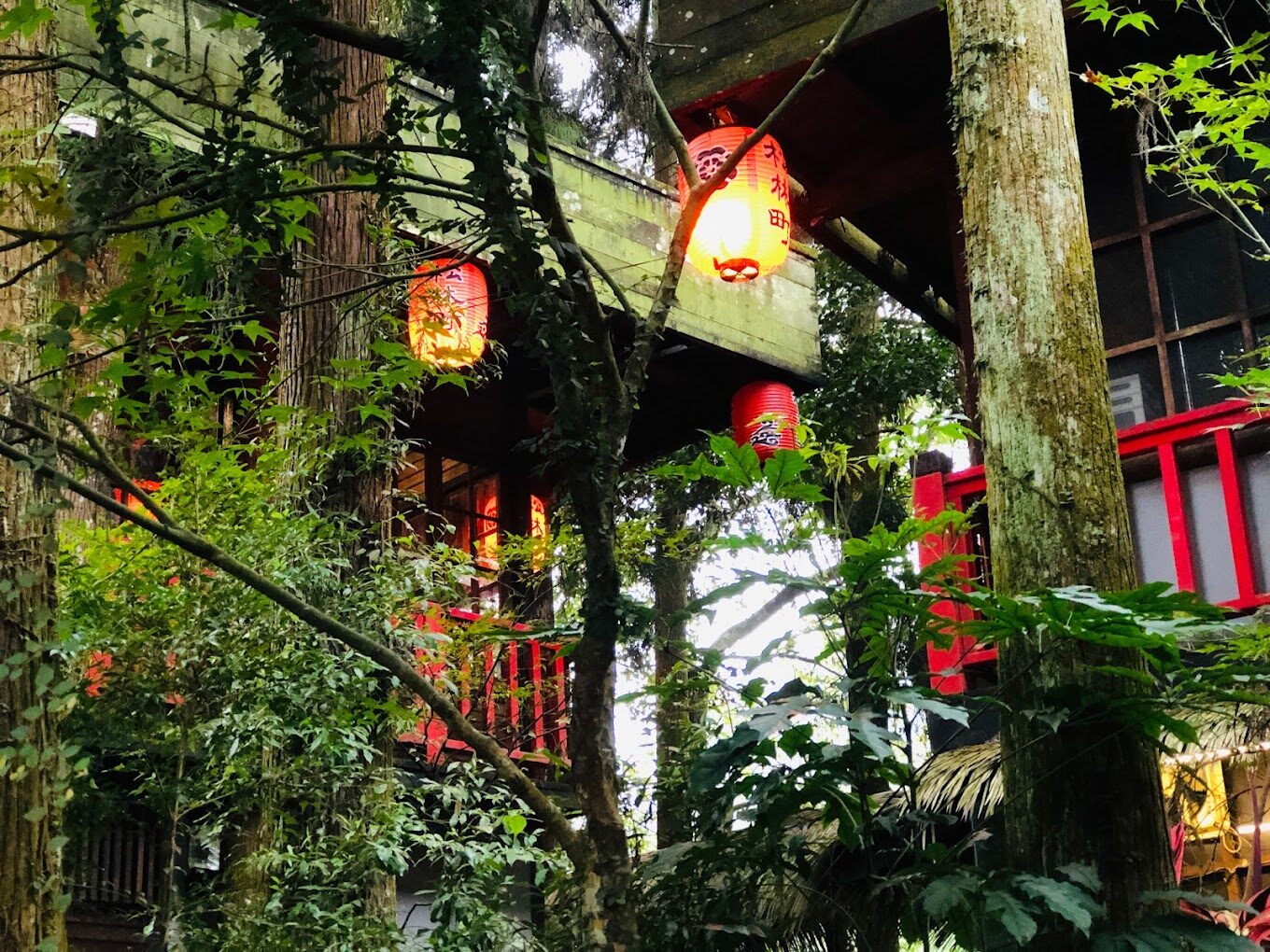 2025南投必去景點攻略｜這美景絕對不容錯過