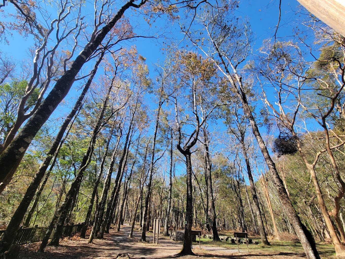 2025南投必去景點攻略｜這美景絕對不容錯過